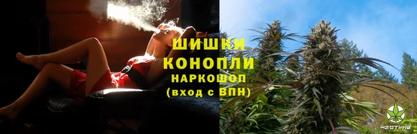 индика Армянск