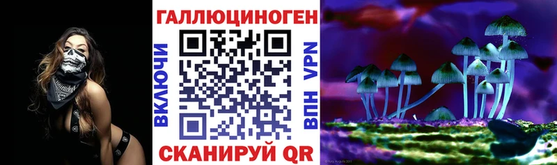 Псилоцибиновые грибы Cubensis Волгодонск