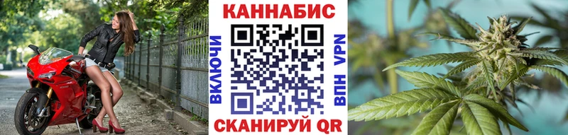 купить наркоту Волгодонск МАРИХУАНА сатива